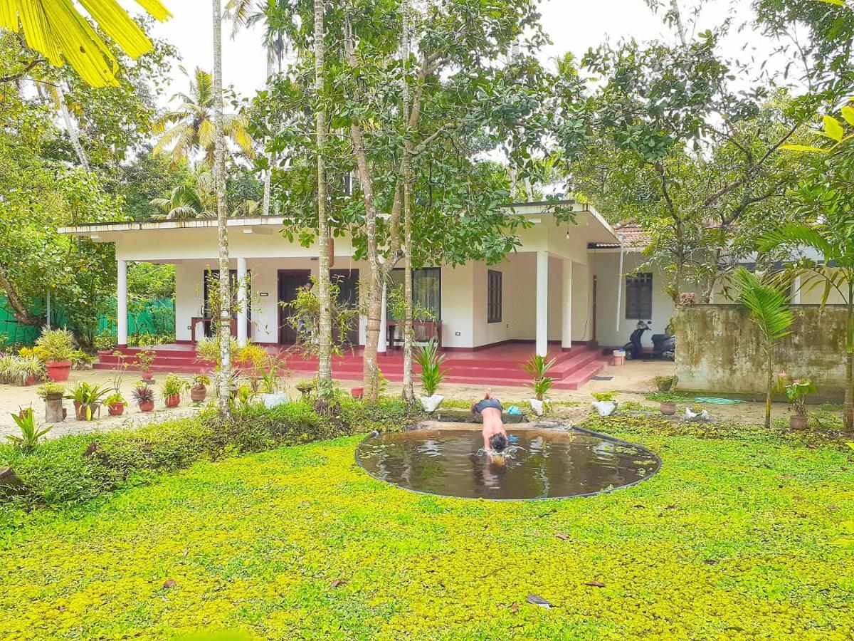 Apartmán Marari Ebin Charlys Mararikulam Exteriér fotografie